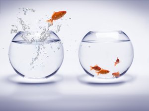 做投资组合一定要想清楚的几件事